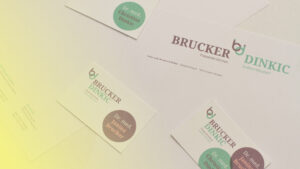 Logo Brucker Dinkic